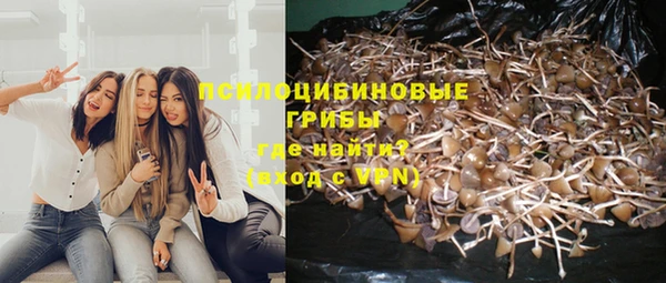 бутират Медвежьегорск