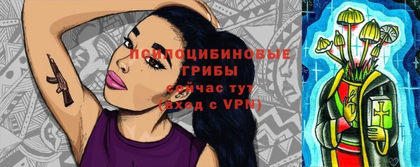 бутират Медвежьегорск